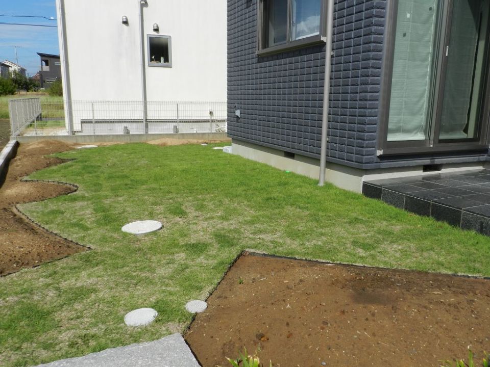 芝 芝