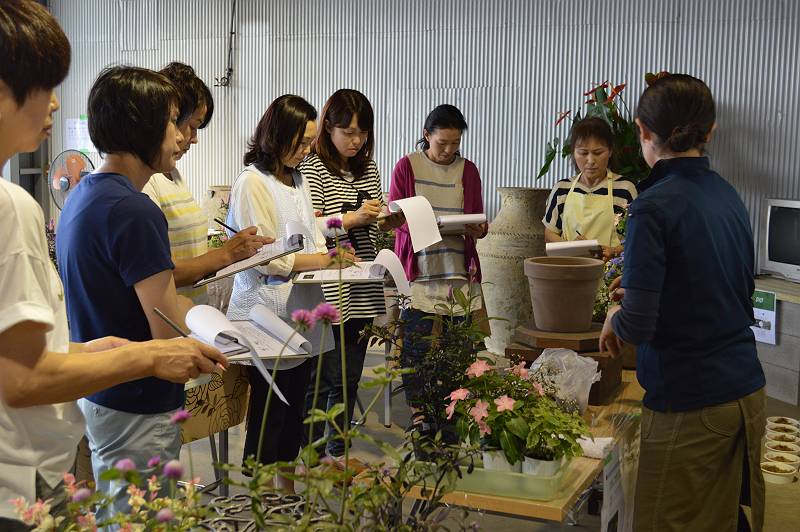 寄せ植え実演 寄せ植え実演