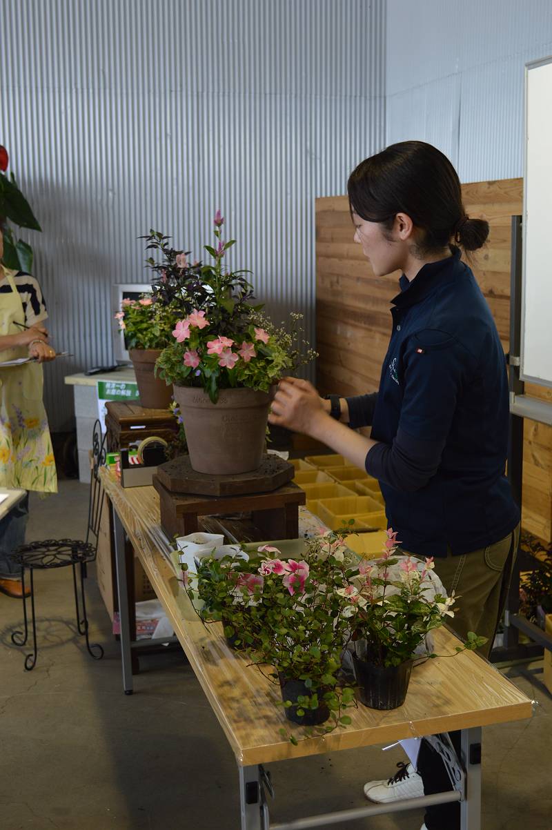 水戸市寄せ植え教室 水戸市寄せ植え教室