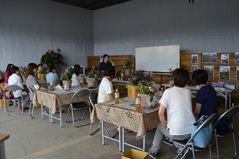 寄せ植え勉強会 寄せ植え勉強会