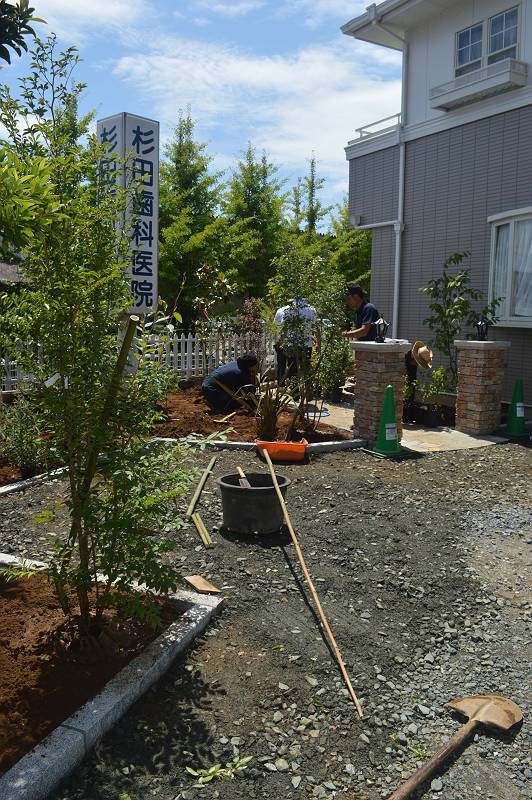 水戸市植栽 水戸市植栽