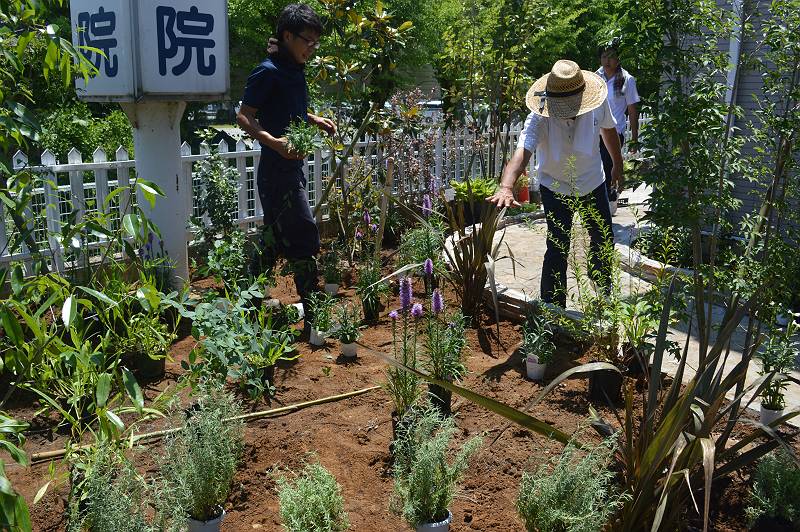 下草指導 下草指導