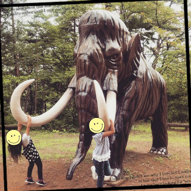 森林公園 森林公園