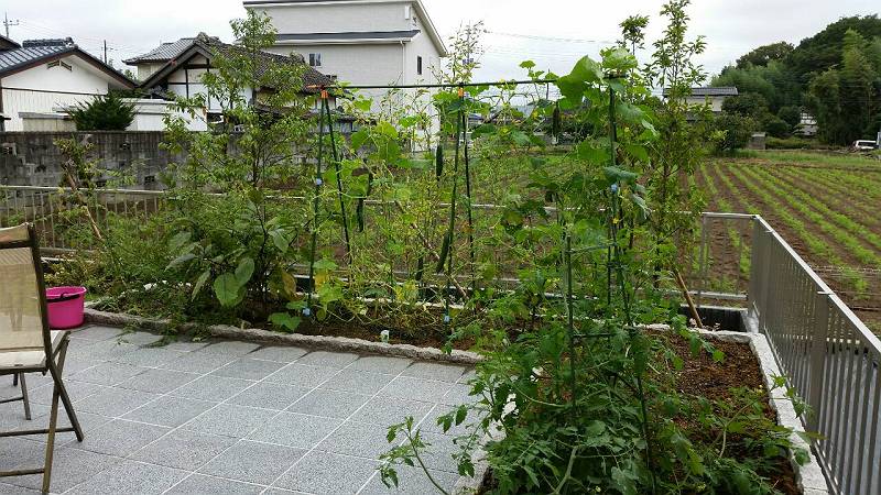 マイホーム畑 マイホーム畑
