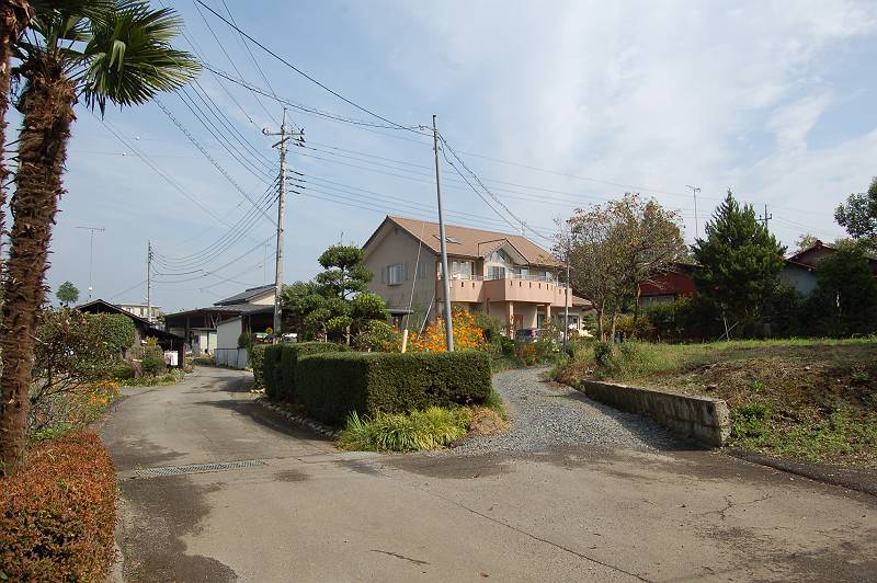 伐採 伐採