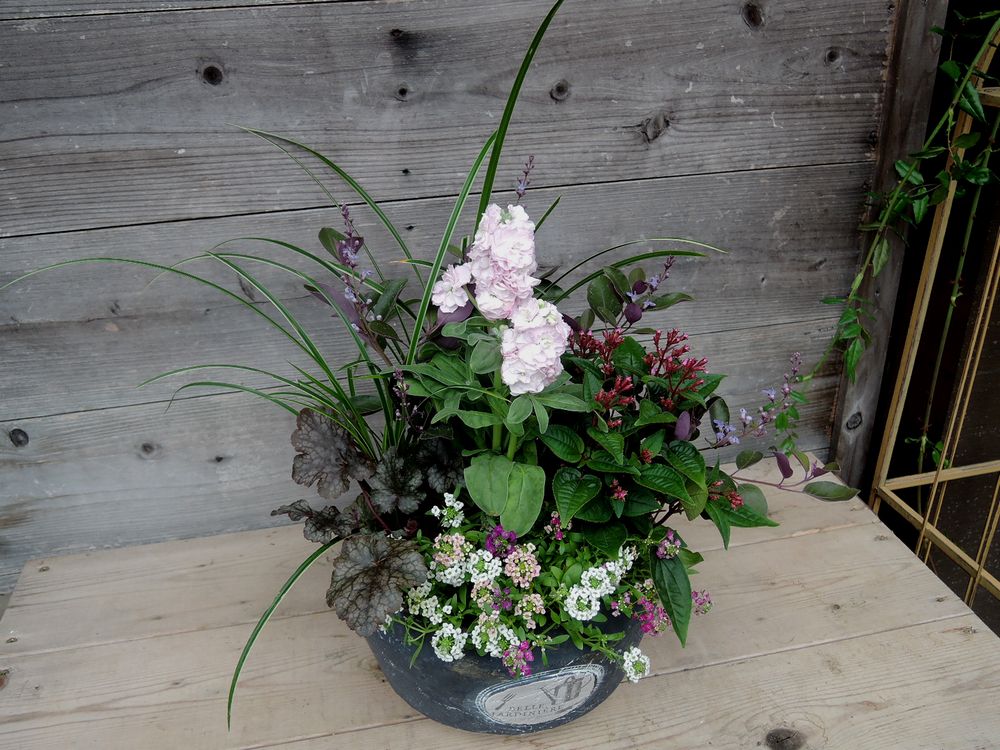 寄せ植え 寄せ植え