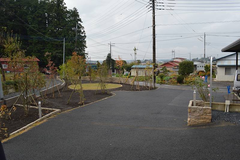 芝生 芝生