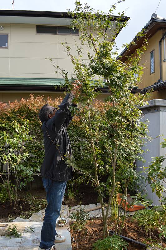 植栽剪定 植栽剪定