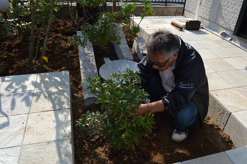 樹木のお手入れ 樹木のお手入れ