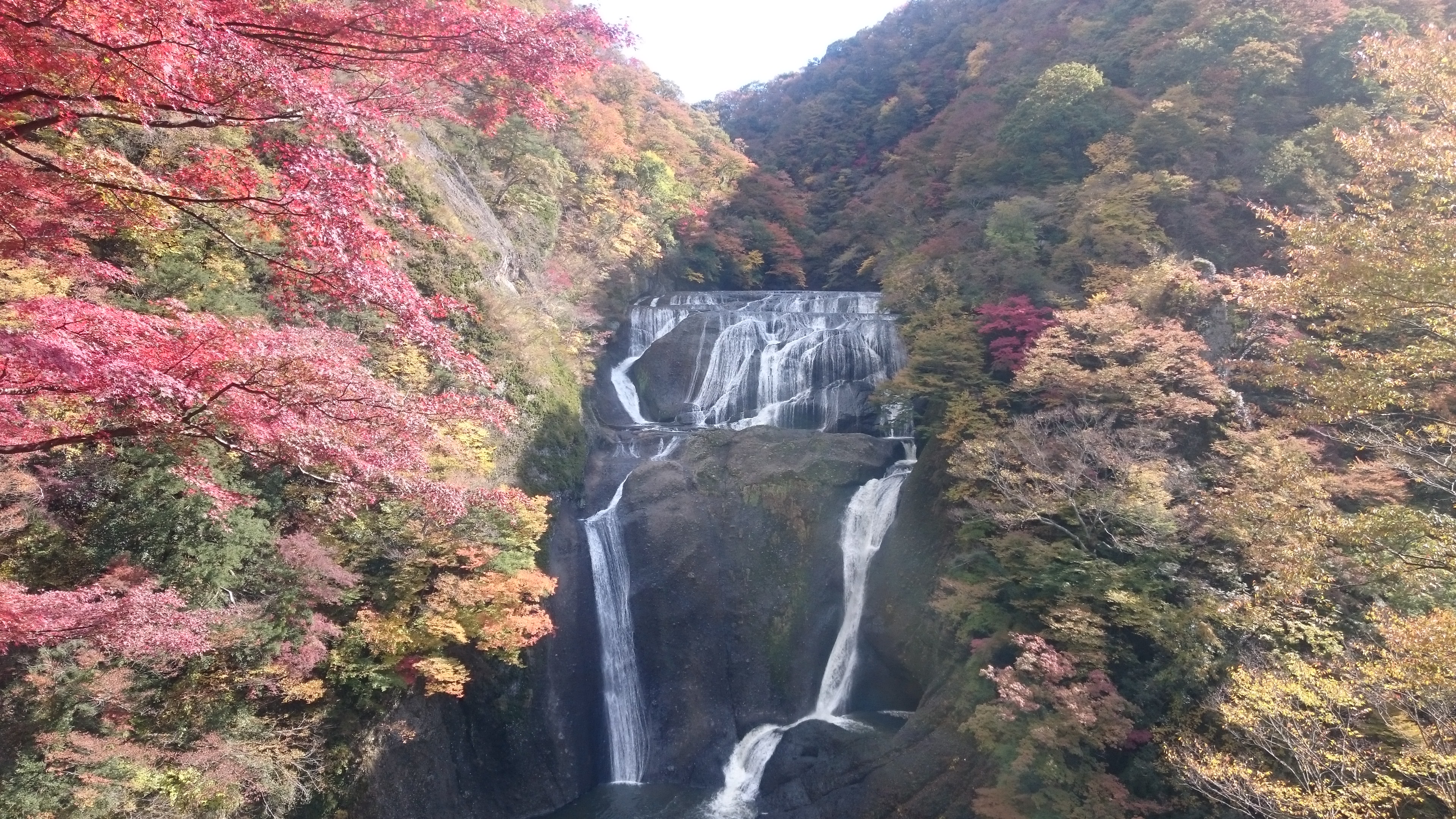 袋田の滝 袋田の滝