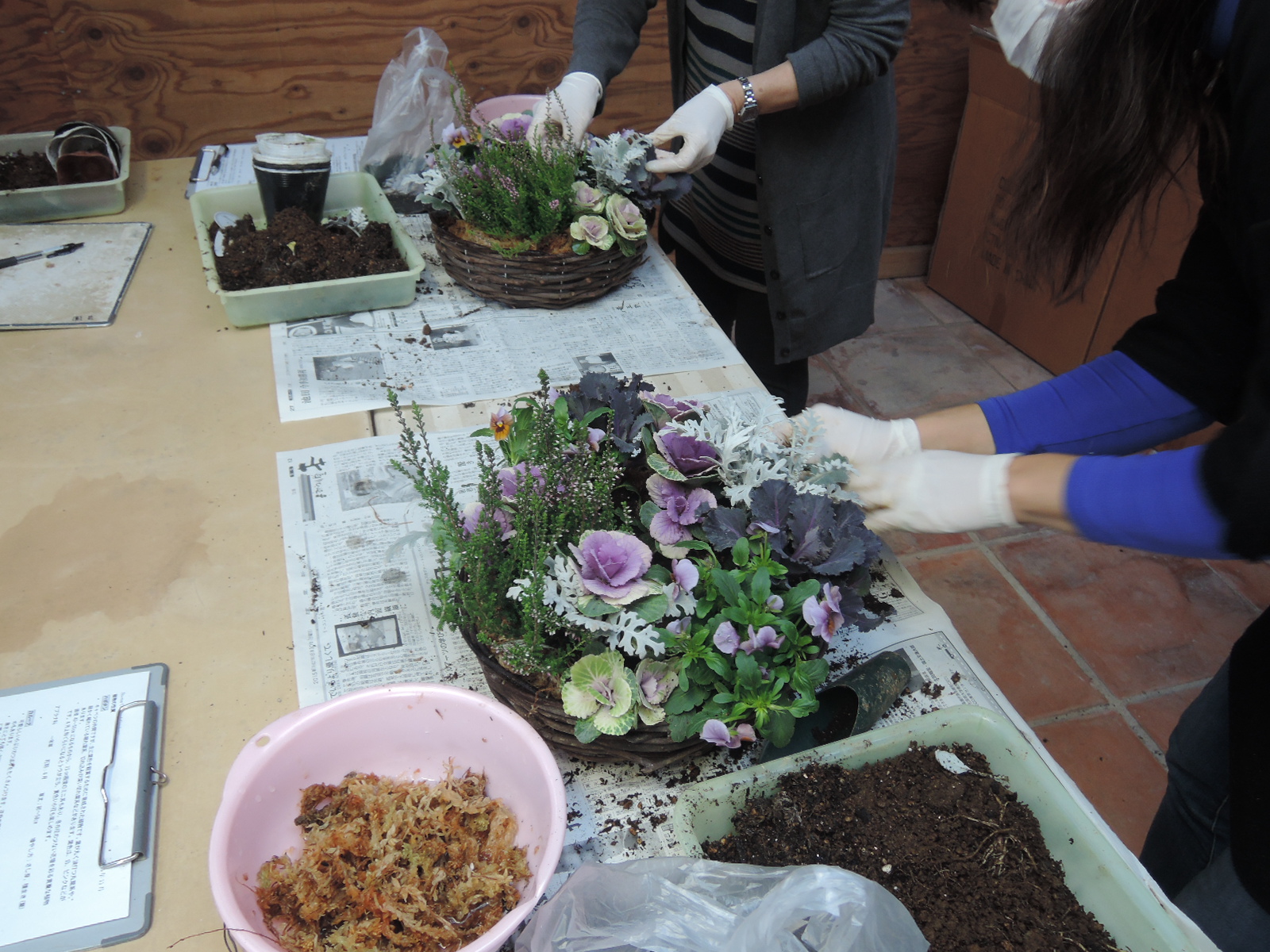 寄せ植え教室 寄せ植え教室
