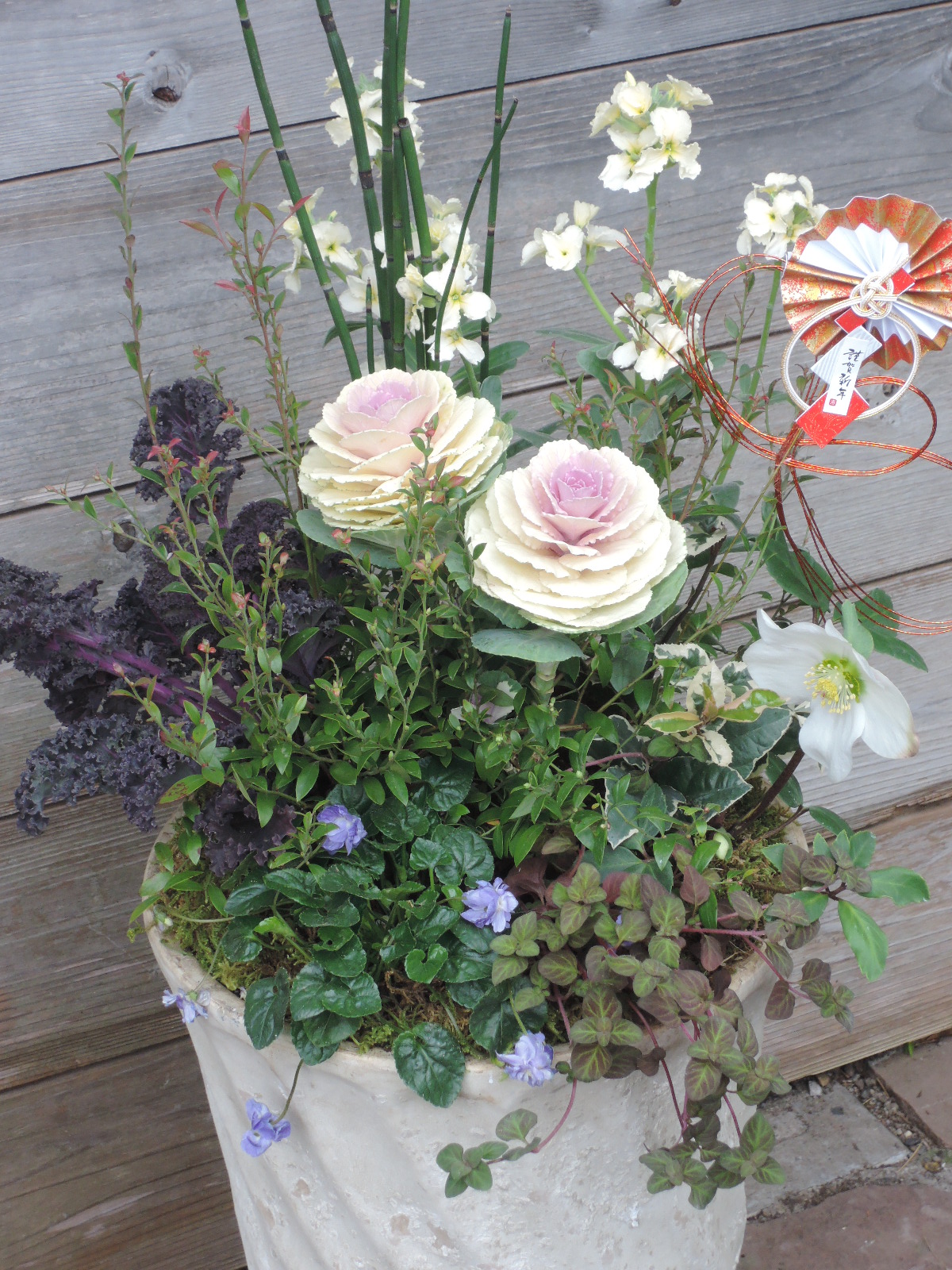 寄せ植え 寄せ植え