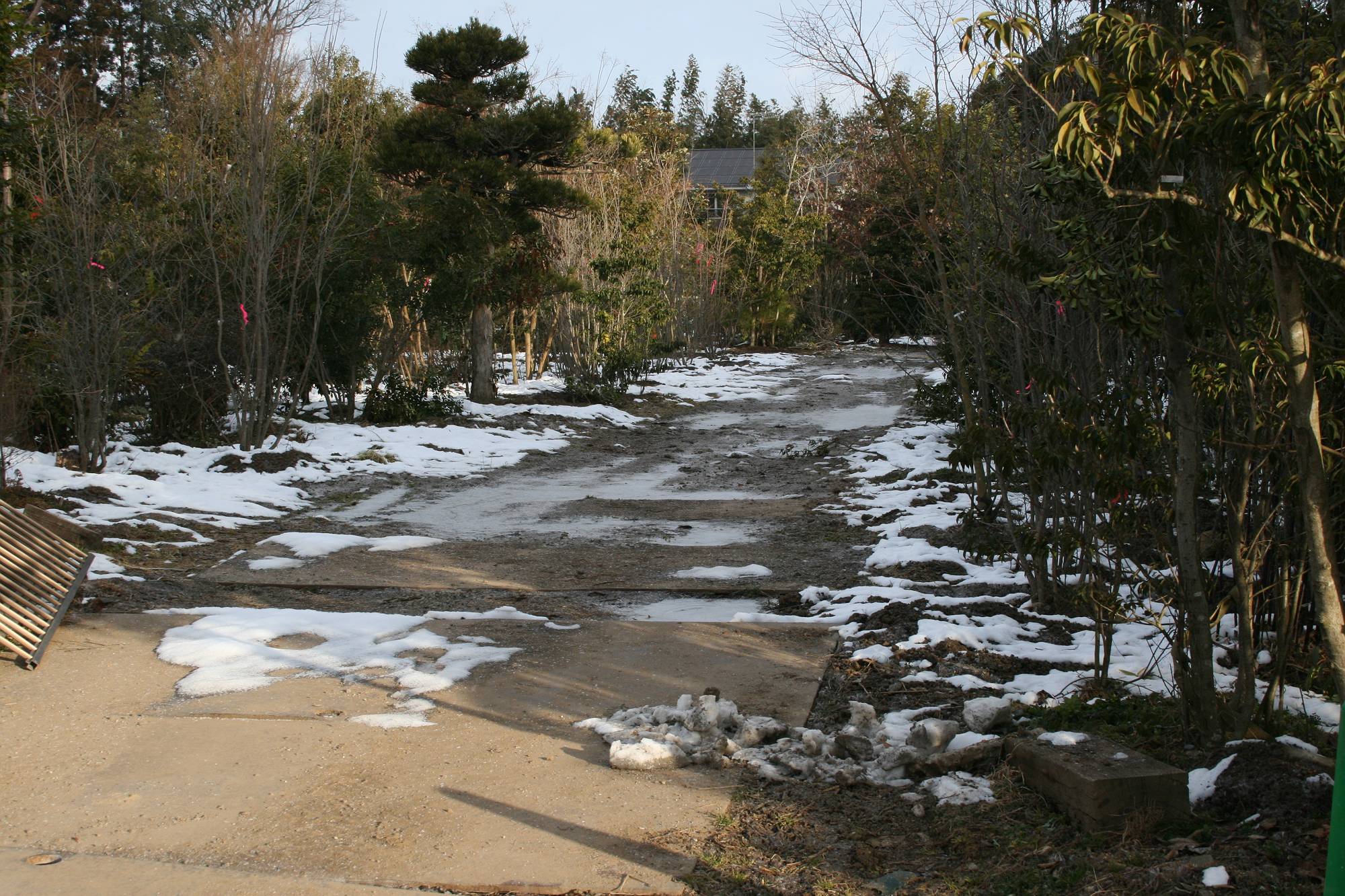 本社 植木畑 本社 植木畑