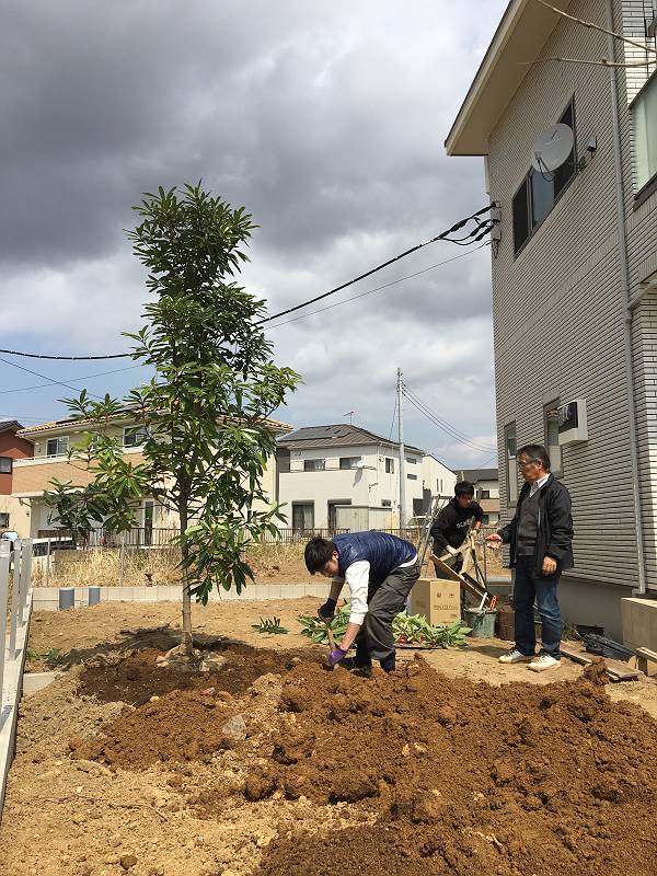 水戸市植栽施工 水戸市植栽施工