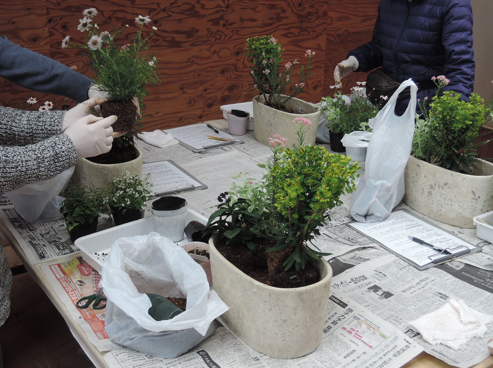 寄せ植え教室 寄せ植え教室