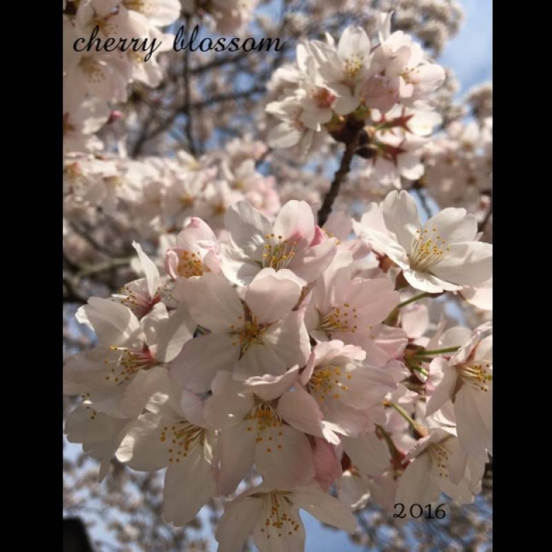 水戸市千波・桜山 水戸市千波・桜山