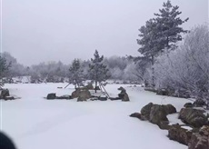中国長春・霊園 中国長春・霊園