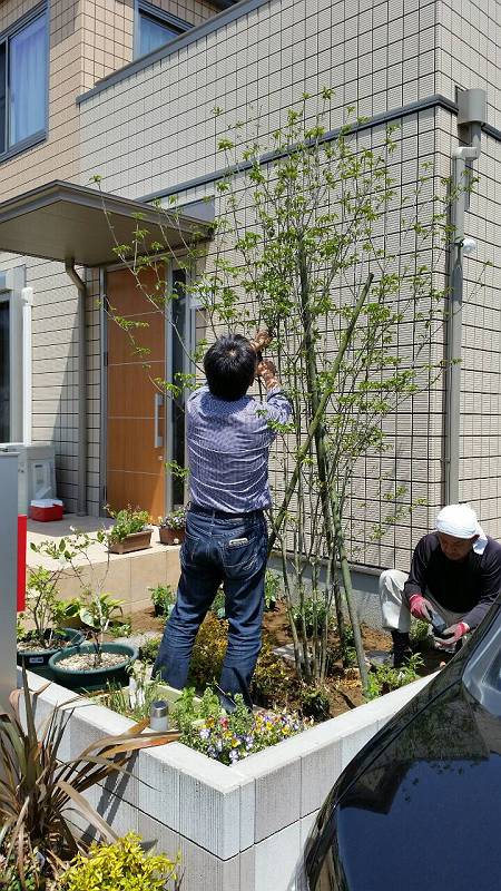 水戸市植栽施工 水戸市植栽施工