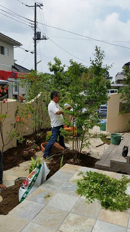 ひたちなか市水戸市植栽監修 ひたちなか市水戸市植栽監修