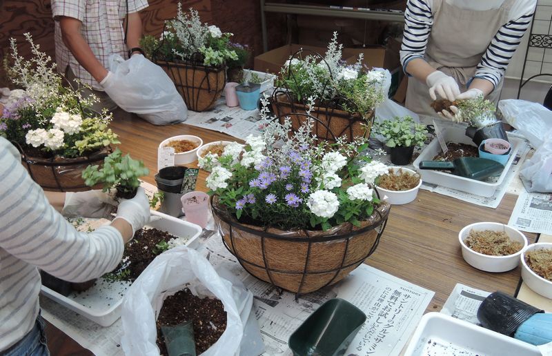 寄せ植え教室 寄せ植え教室