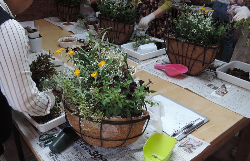 寄せ植え教室 寄せ植え教室