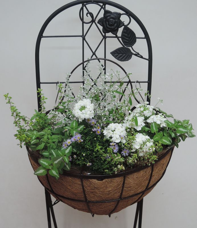 寄せ植え 寄せ植え