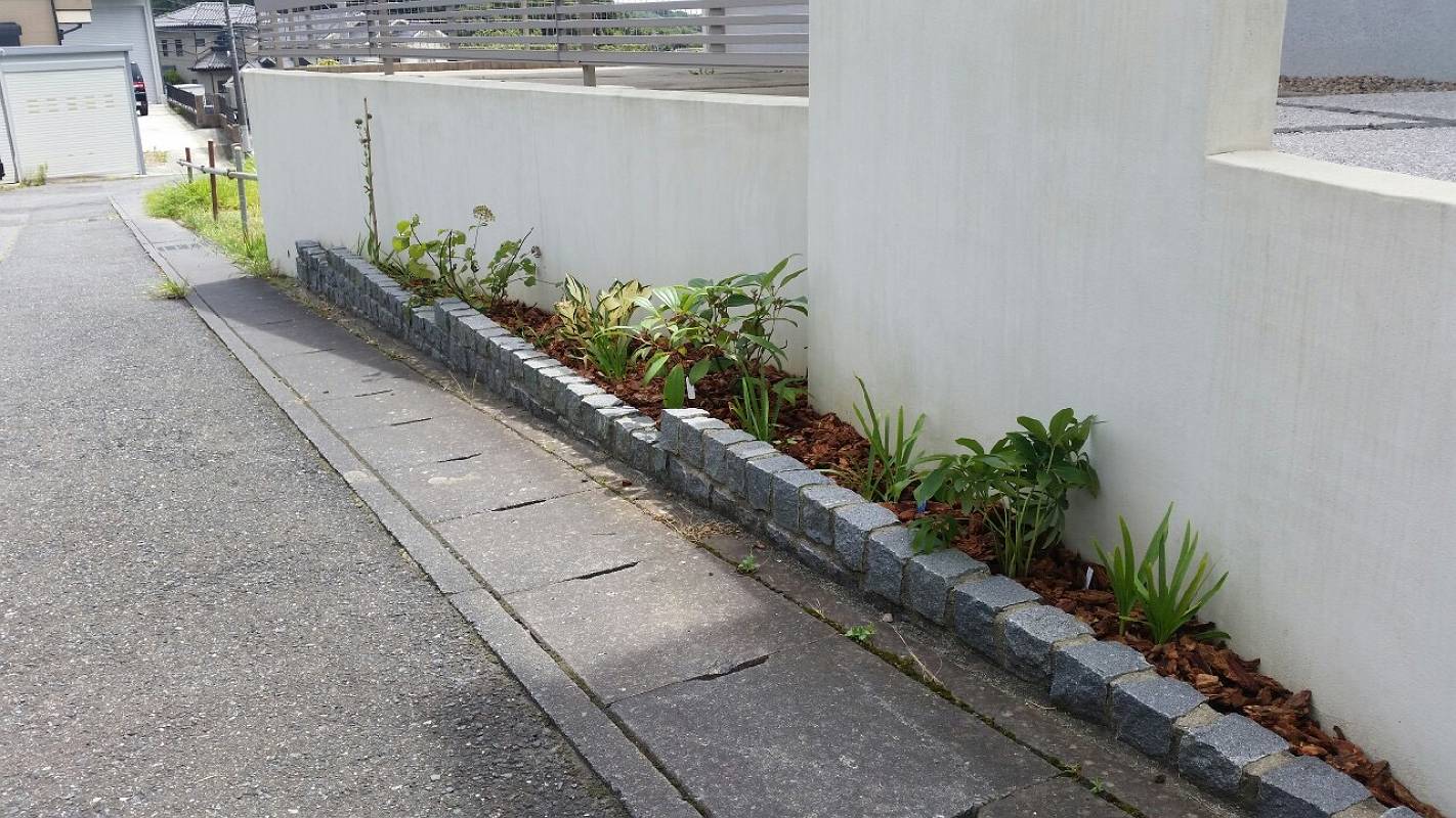 ガーデニング下草宿根草 ガーデニング下草宿根草