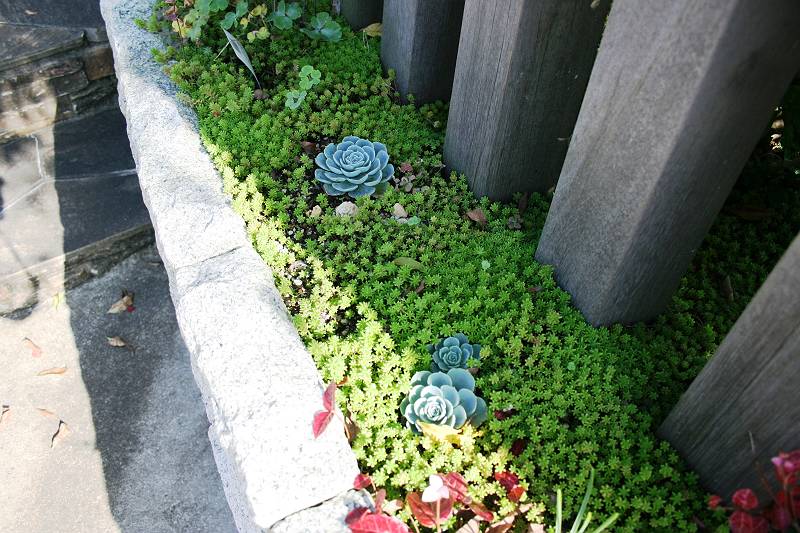 E様2 E様2