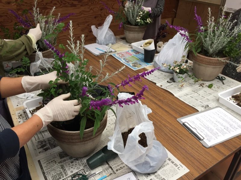 寄せ植え教室 寄せ植え教室