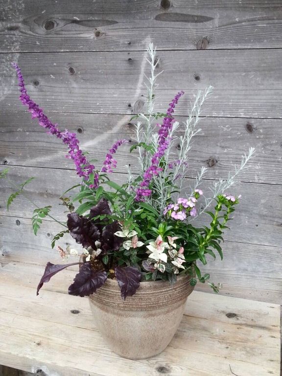 寄せ植え 寄せ植え