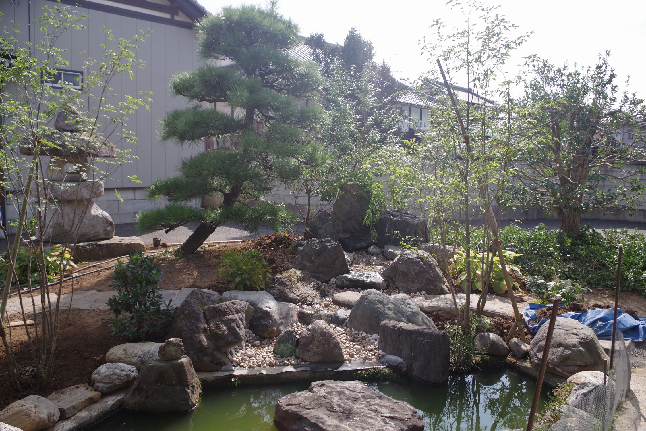 植栽 植栽