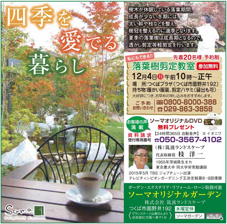 つくば市カルチャー教室・樹木管理 つくば市カルチャー教室・樹木管理