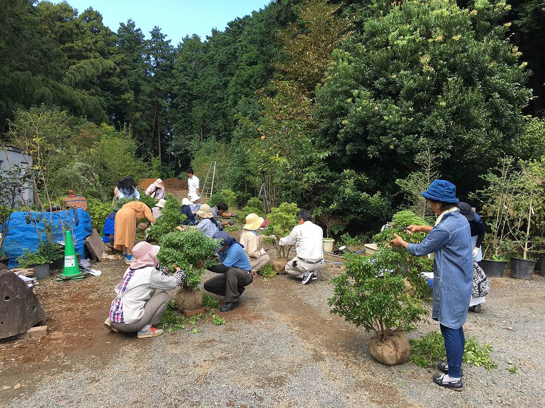 茨城造園・つくば水戸造園 茨城造園・つくば水戸造園