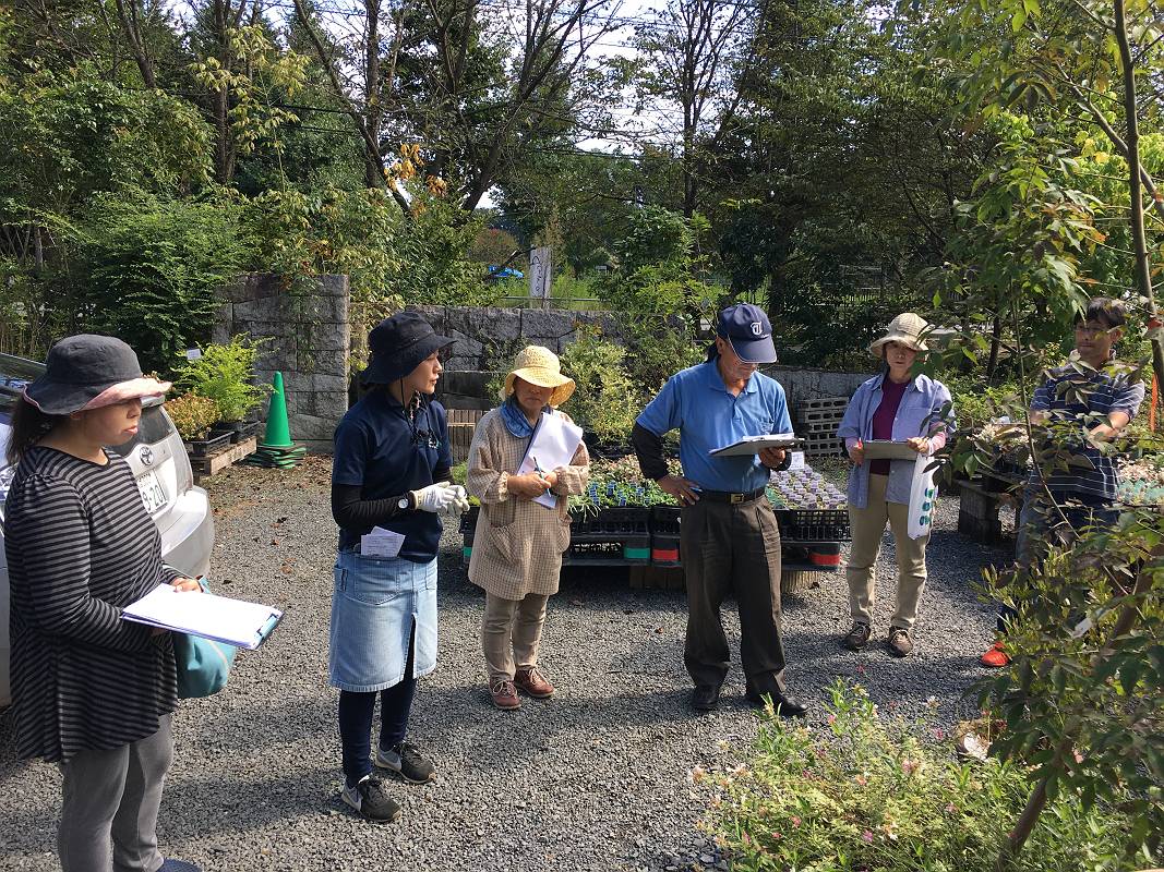 つくば市園芸店・下草宿根草 つくば市園芸店・下草宿根草