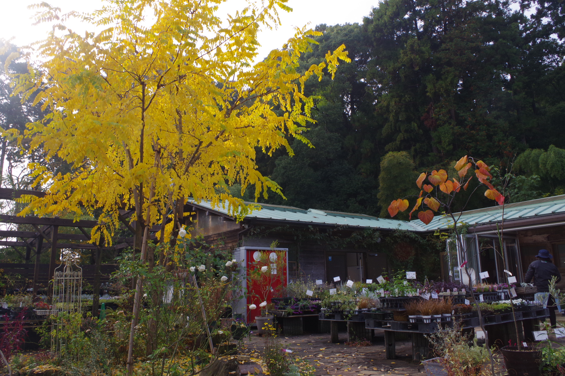 園芸 園芸