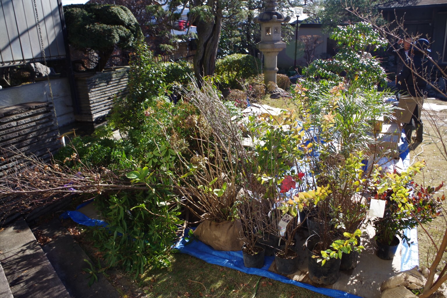 和風 庭 宿根草 施工例 リガーデン 和風 庭 宿根草 施工例 リガーデン