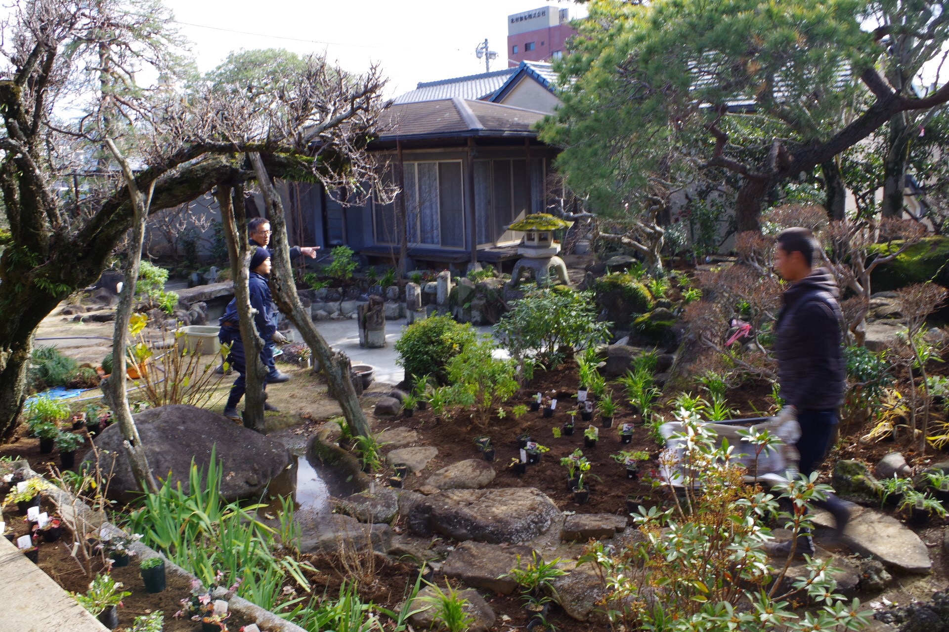 和風 庭 池 灯篭 松 宿根草 間配り 施工例 リガーデン 和風 庭 池 灯篭 松 宿根草 間配り 施工例 リガーデン