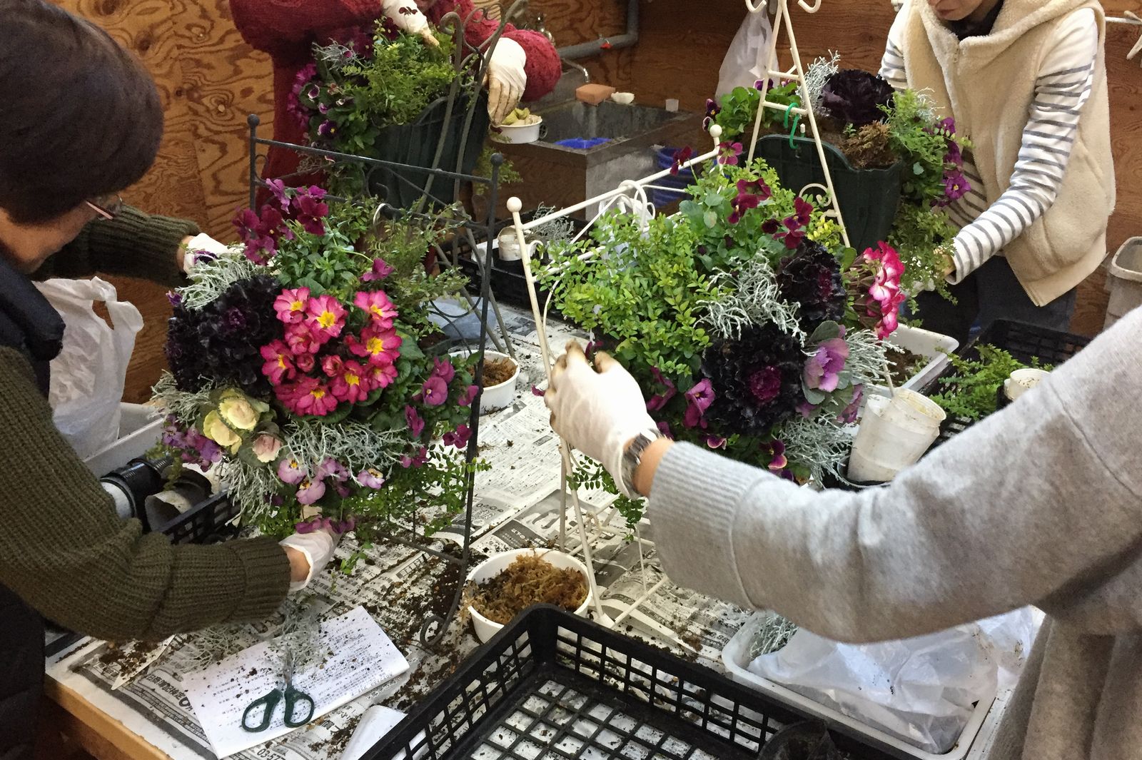 寄せ植え教室 寄せ植え教室
