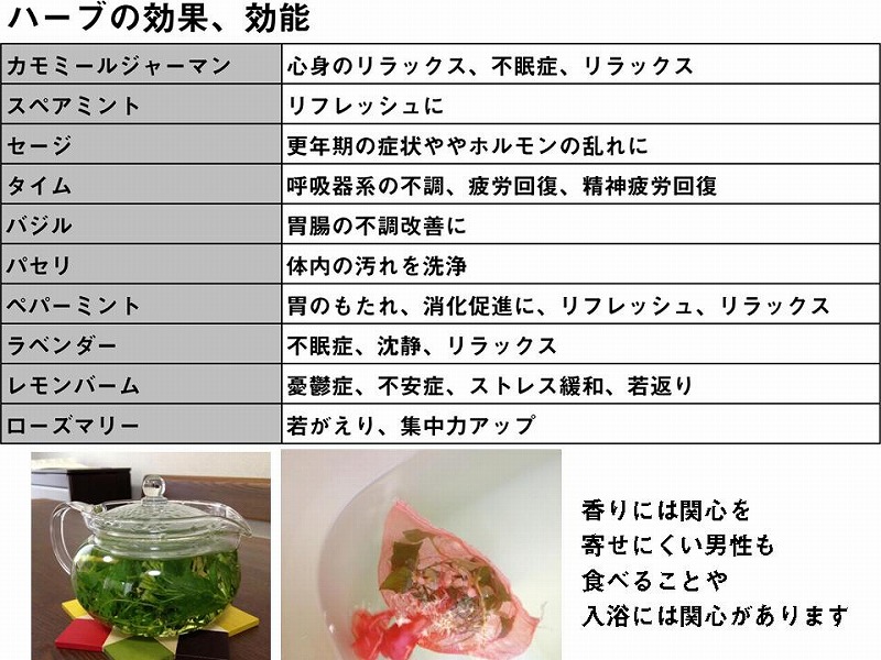 ハーブ効能 ハーブ効能