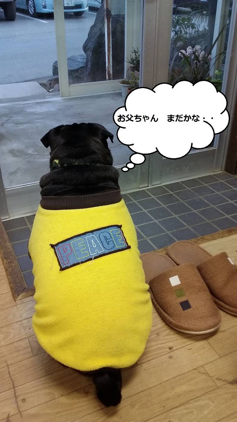 ゴエモン ゴエモン