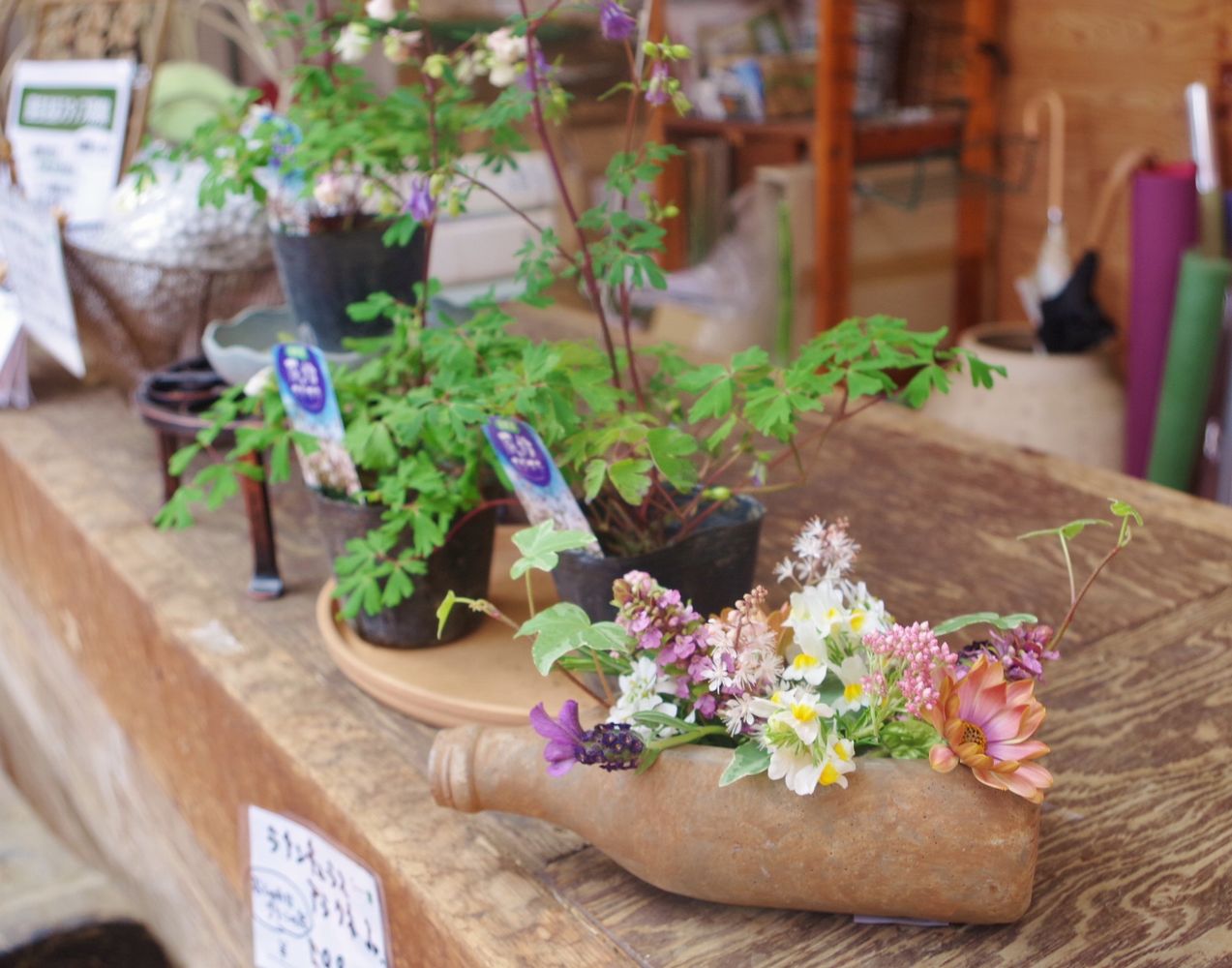 花屋 植物 飾り方 花屋 植物 飾り方