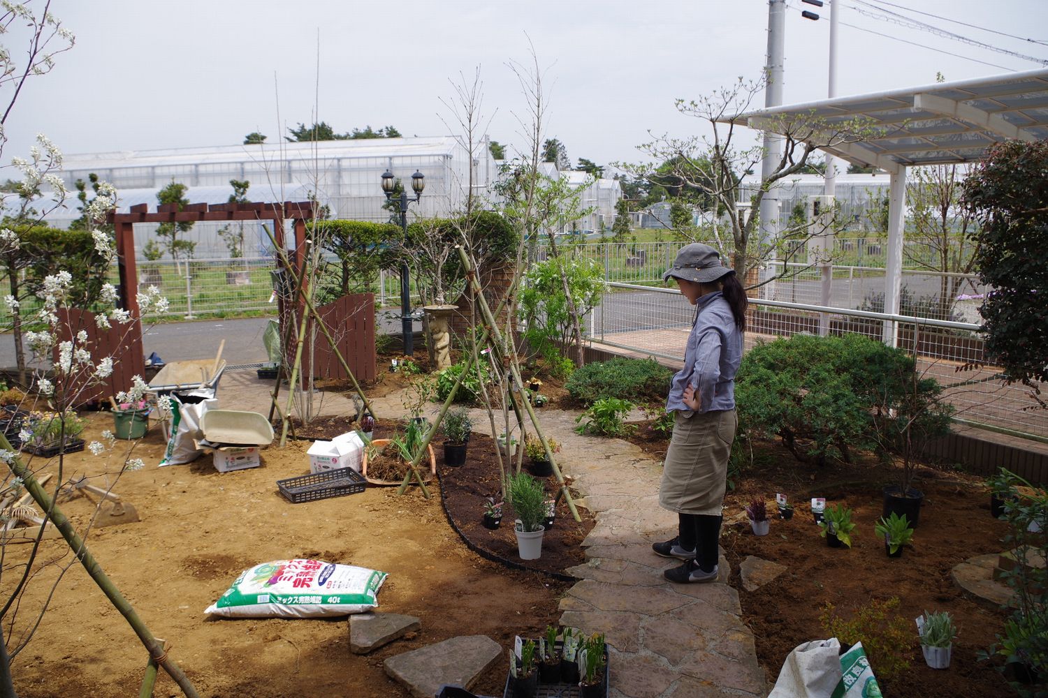 つくば 植え込み 花 つくば 植え込み 花