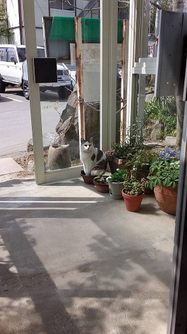 植木鉢の中 植木鉢の中