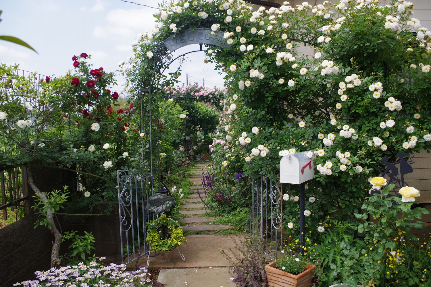 バラ　ガーデン　庭