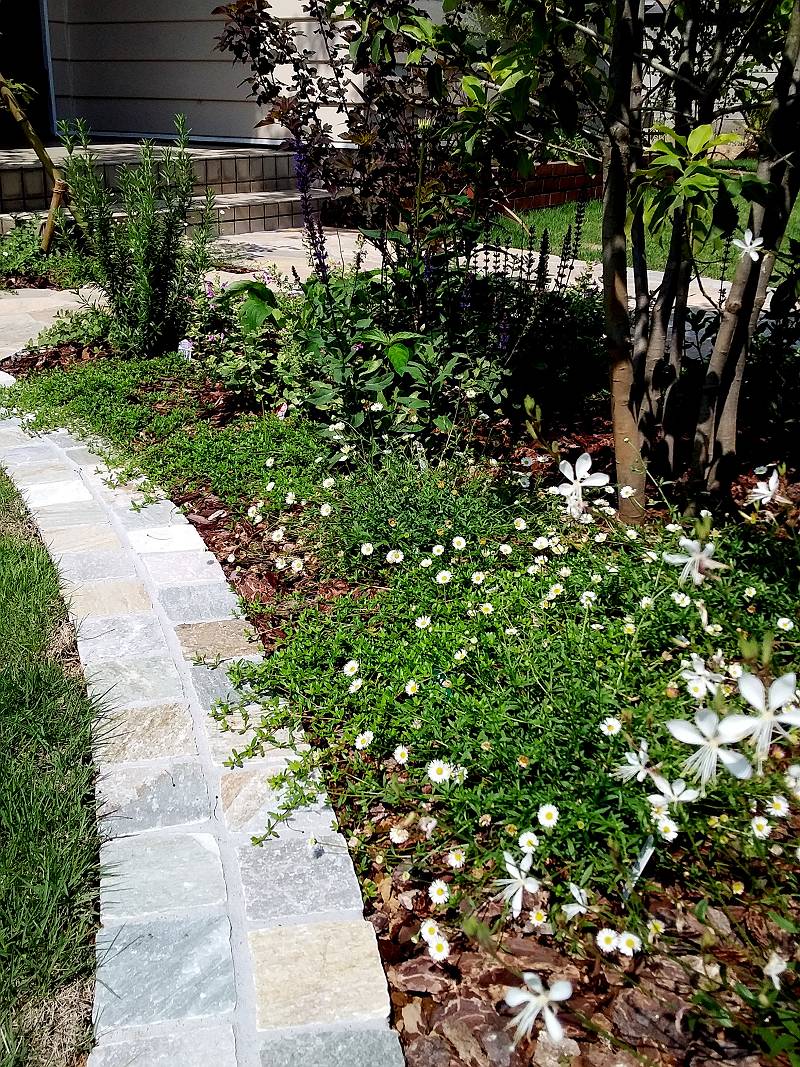筑西市 植栽 筑西市 植栽