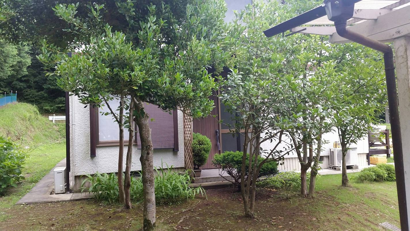 那珂市外構・水戸市外構 那珂市外構・水戸市外構