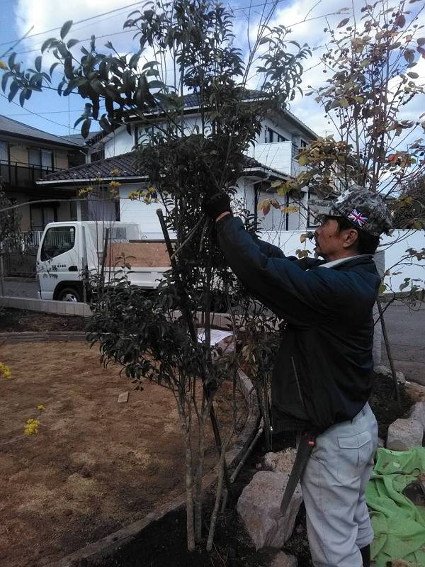 植栽 植栽