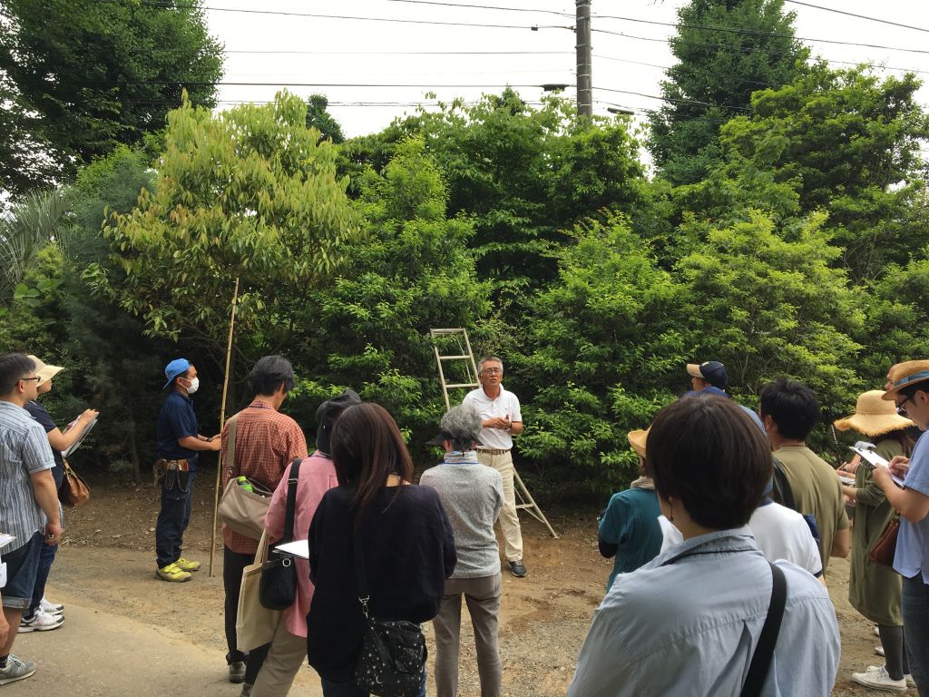 剪定 教室 大好評 01 剪定 教室 大好評 01