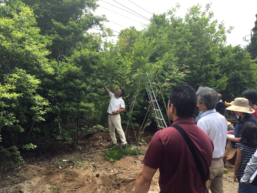 剪定 教室 大好評 03 剪定 教室 大好評 03