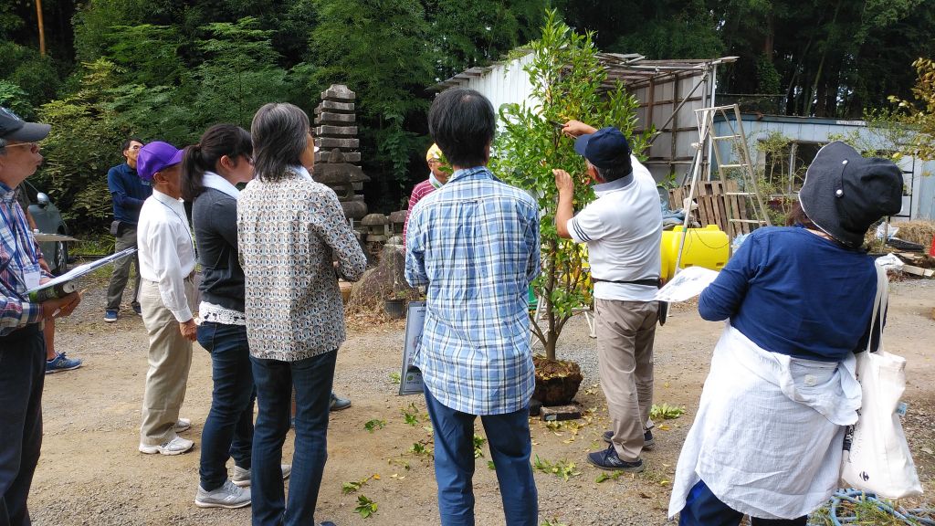 剪定 教室 つくば 果樹 01 剪定 教室 つくば 果樹 01